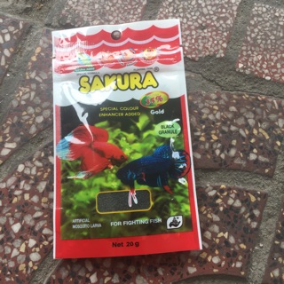 Sakura cho cá đá, cá betta (lăng quăng khô)