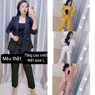 [Ảnh thật] 55-90kg Bigsize SET VEST DÀI 3 MÓN SANG CHẢNH 4 MÀU THẦN THÁNH