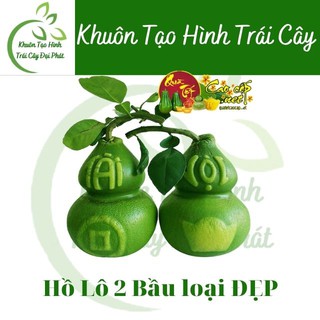 (Dày 4,5 li, in chữ Tài Lộc)Khuôn Hồ Lô 2 Bầu (1-1,4kg), Khuôn Bưởi loại đẹp, Tạo Hình Trái Cây Dưa Hấu, Đào Tiên