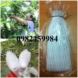 Túi Xốp Bọc Ổi Lồng Sẵn Gồm Nilong, Chun, Xốp 1kg~330 túi, Kích Thước Chưa Dãn 6x14cm, Bọc Na, Hồng Xiêm...