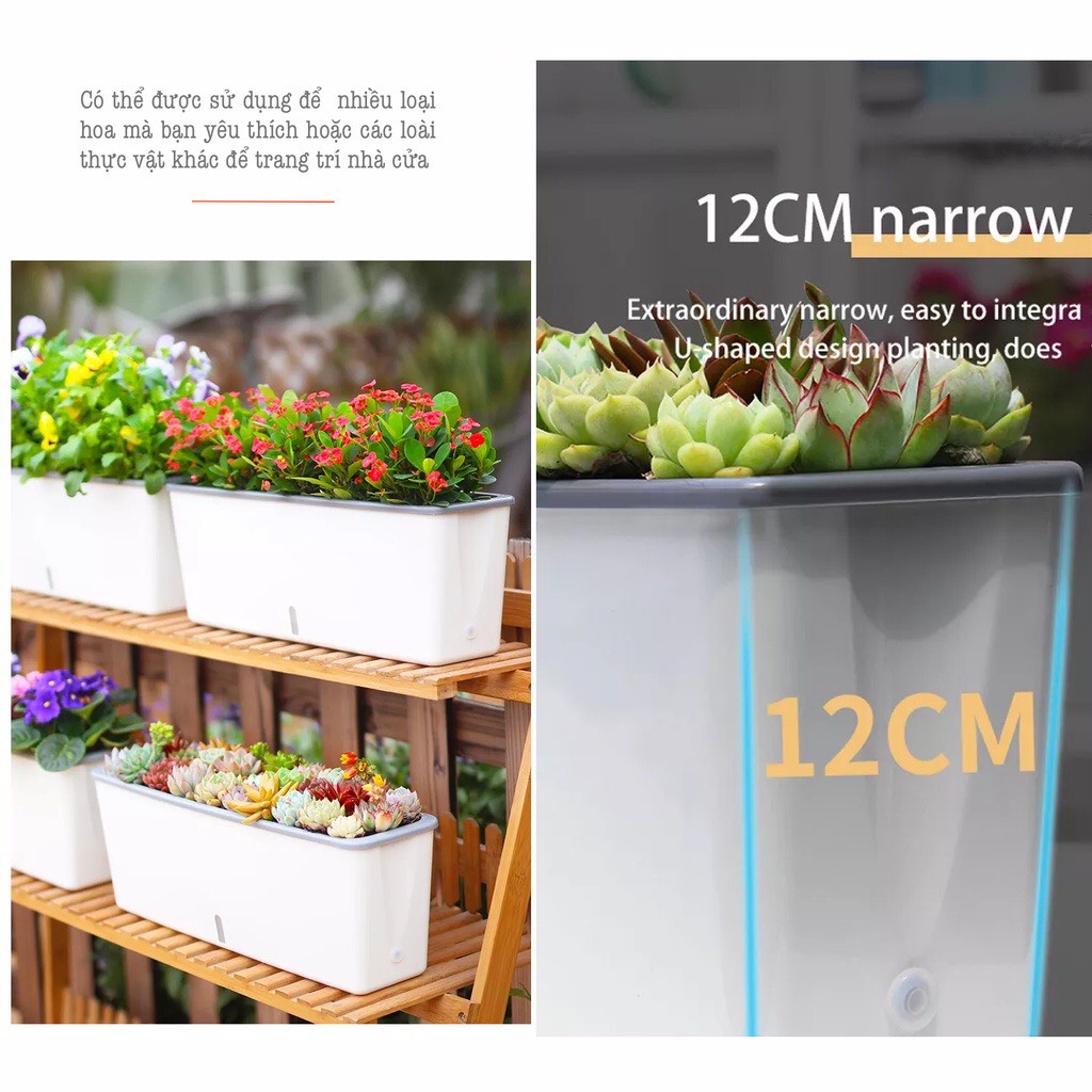 Chậu trồng cây thông minh tự tưới Oliz-SC06 đa năng thích hợp với nhiều loại cây