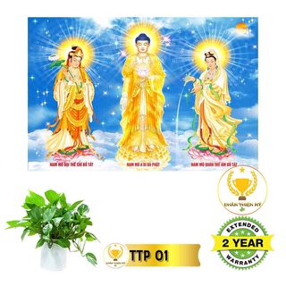 Tranh điện tam thế phật_ttp1