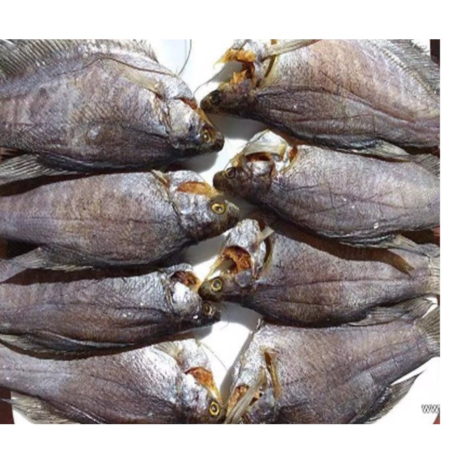 Khô cá sặc 1KG đặc sản Cà Mau , loại (8*9/500GR) , cá sặc khô nổi tiếng, thượng hạng,to bự ngọt, thơm ngon, tự nhiên