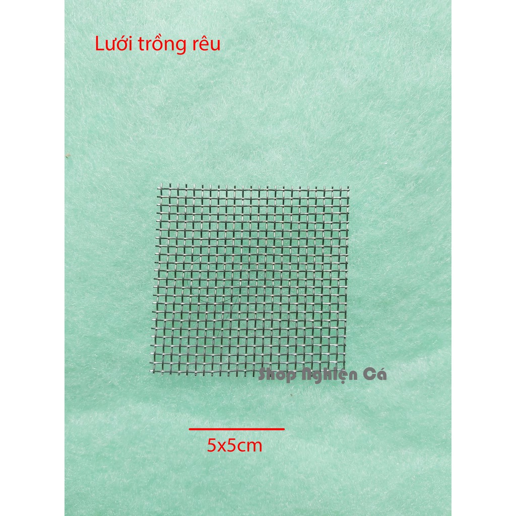 Combo 5 Vỉ LƯỚI THÉP KHÔNG RỈ TRỒNG RÊU LÀM THẢM RÊU 5X5CM