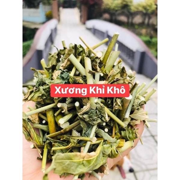 Cây Xương Khỉ- Cây Mảnh Cộng
