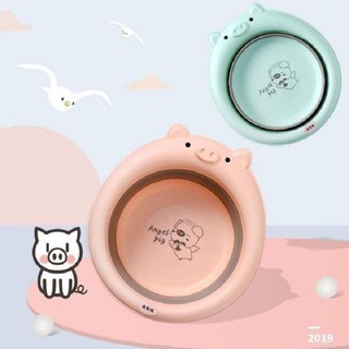chậu rửa mặt gấp gọn