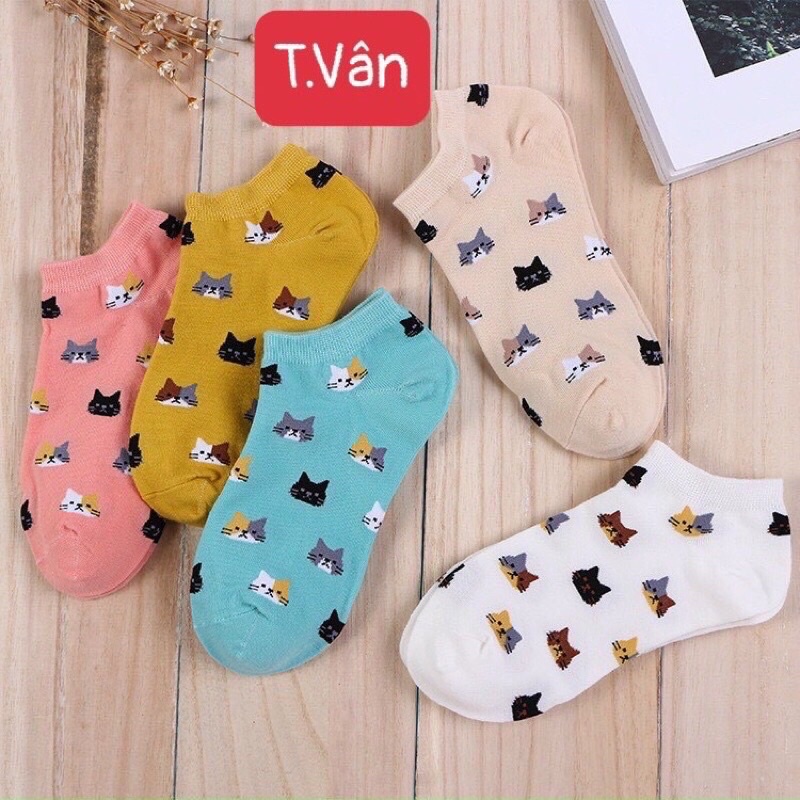 Sét 5 tất mèo có túi zip chất đẹp dễ thương