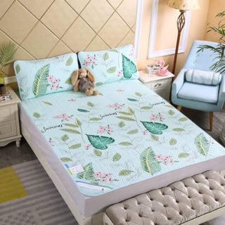 Chiếu điều hoà tencel M6
