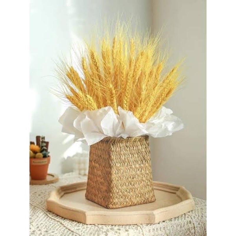 Cuộn giấy vân long