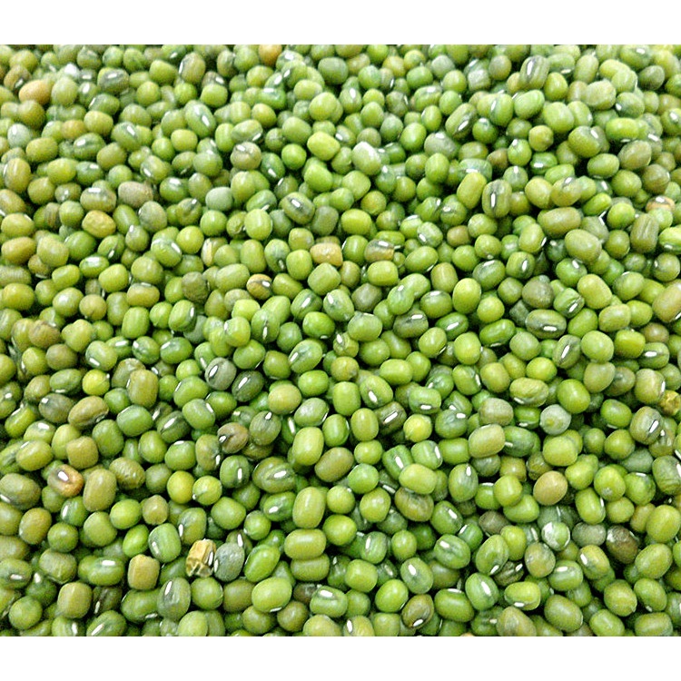 Đậu xanh - đỗ xanh nguyên hạt thuần chủng không biến đổi gen 500gr HCM