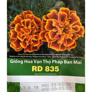 Hạt Giống Hoa Vạn Thọ Pháp Ban Mai