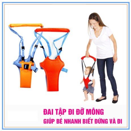 Dây Đai Tập Đi Cho Bé Hãng ROYAL - Loại Ôm Ngực