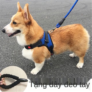 ❃✁Dây xích cho chó kiểu áo gi lê đi bộ buộc cưng Corgi cỡ vừa nịt ngực nhỏ