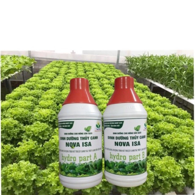 Combo 2 bộ 4 lít dung dịch thuỷ canh tặng 25 rọ trồng