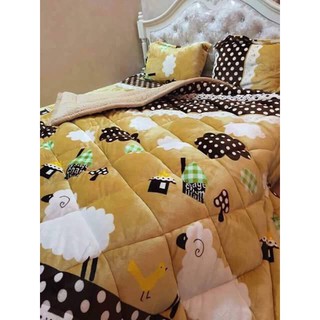 Chăn lông cừu việt nam cao cấp nhiều màu 7