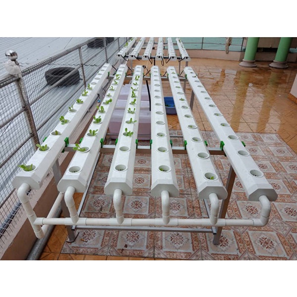 Ống Nhựa Trồng Rau Thủy Canh Chất Liệu PVC An Toàn, Không Chất Độc Hại, Độ Bền Sử Dụng Cao.
