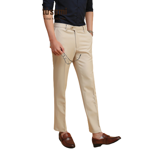 Quần âu nam HTSM vải 79 cao cấp | BigBuy360 - bigbuy360.vn