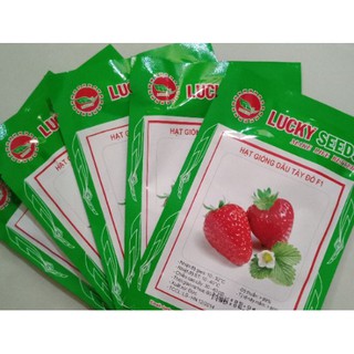 HẠT GIỐNG DÂU TÂY LUCKY GÓI 100 HẠT