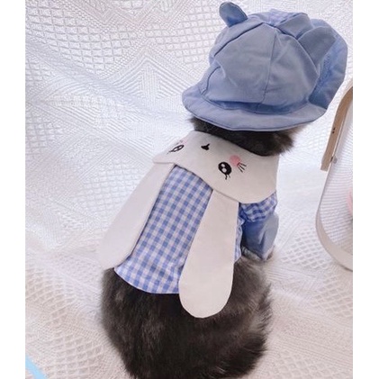 Áo hàng thiết kế cho thú cưng - áo kiểu sơ mi xanh phối cổ trắng có tai thỏ phía sau