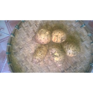 1kg nghệ độc thân (Inbox trước khi đặt hàng vì hàng theo mùa không có sẵn)