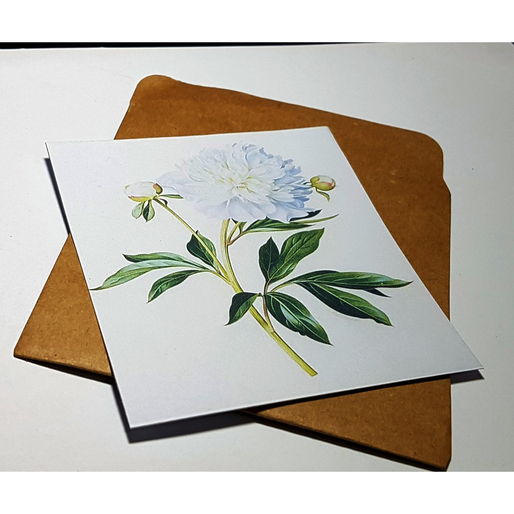 Thiệp phong cách Vintage card quà cám ơn ,chúc mừng sinh nhật và giử tặng người thân yêu.HOA055