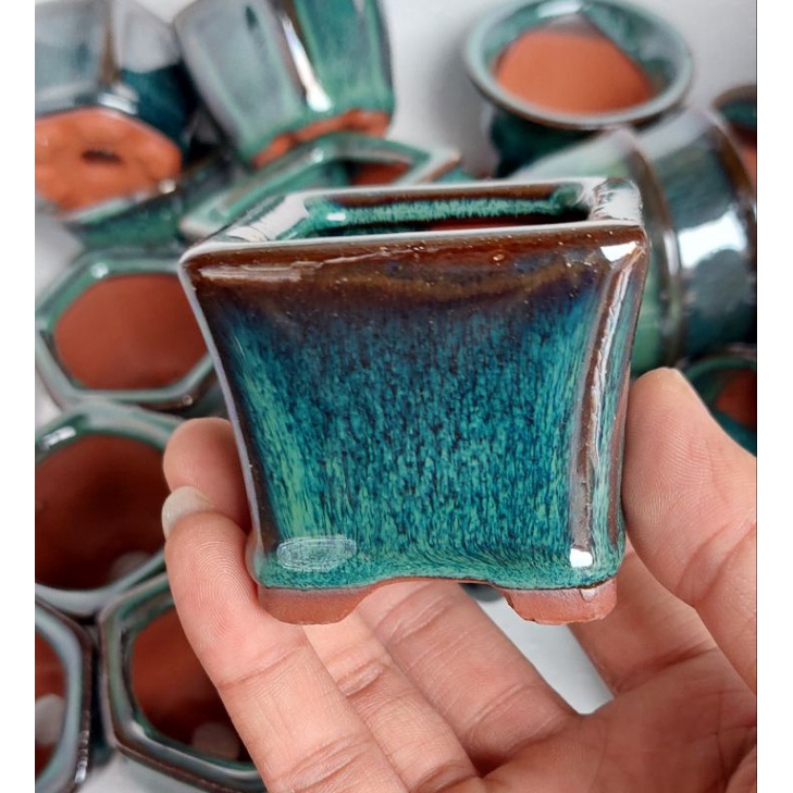 Chậu trồng cây sen đá, xương rồng, cây mini