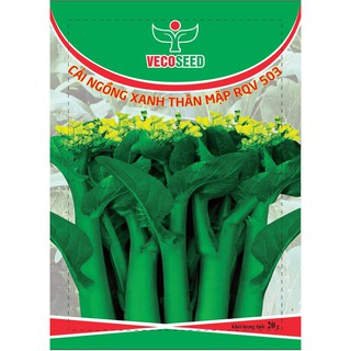 Hạt giống cải ngồng - 5,5k /gói 20g