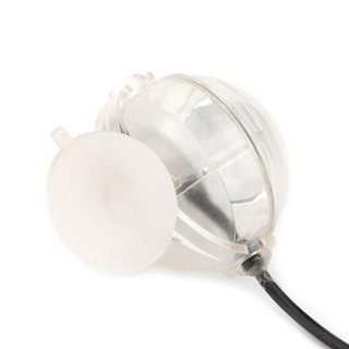 Đèn Led Mini Hình Cá Nhiệt Đới Độc Đáo