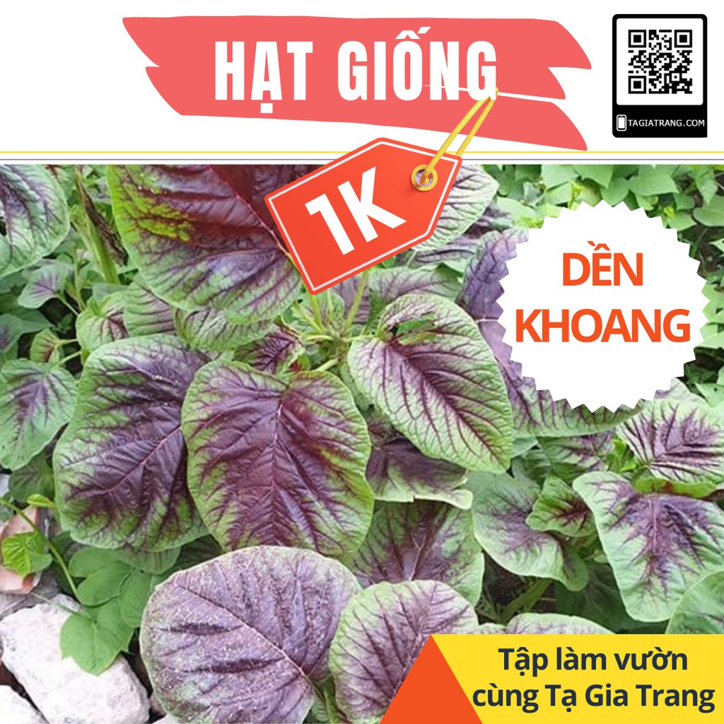 DEAL 1K – 100 hạt giống rau dền khoang cao sản – Làm vườn cùng Tạ Gia Trang – No – top1deal