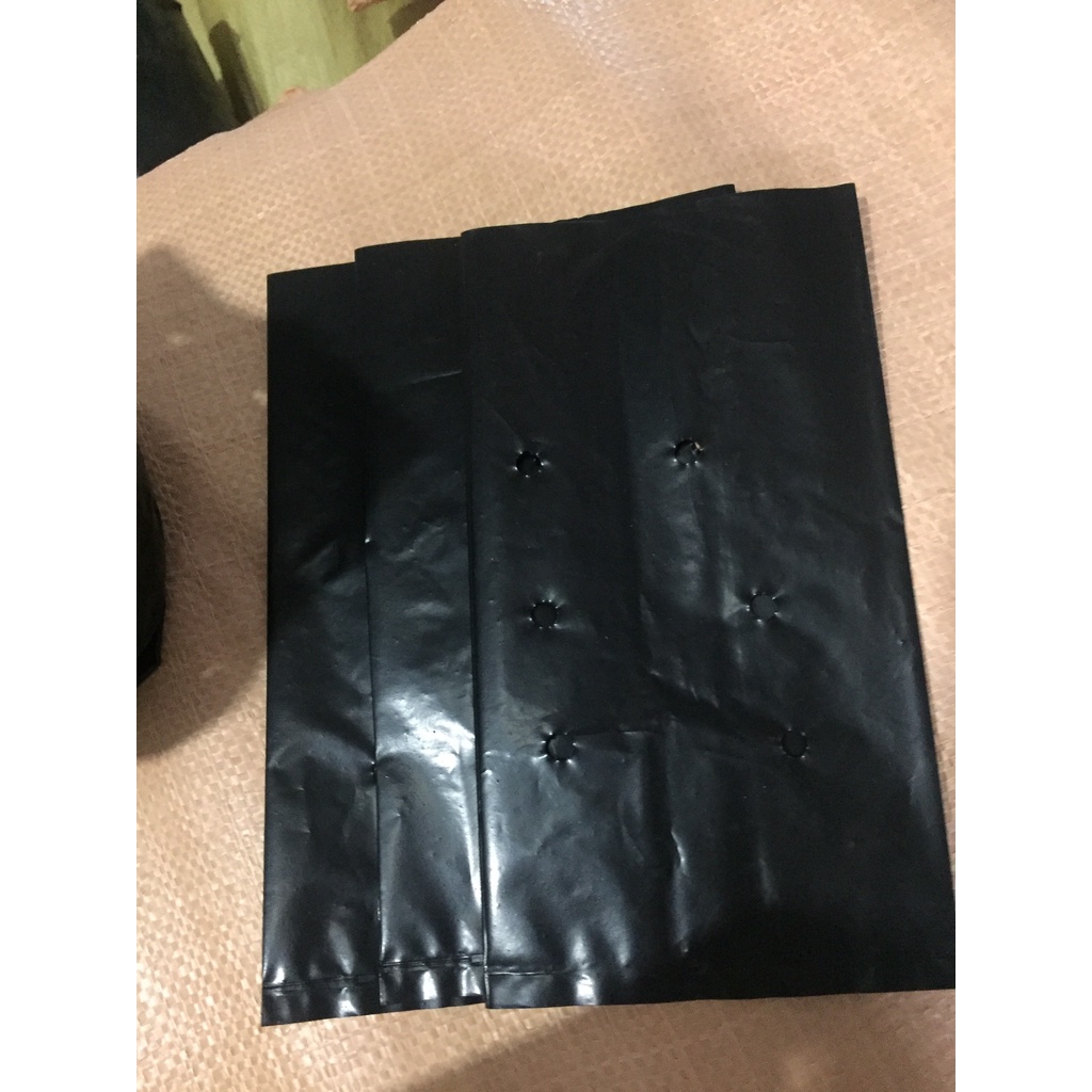 1KG TÚI ƯƠM CÂY MÃ 12*25 ( KÍCH RỄ, MẦM CÂY XANH LÁ, DỊCH TRUYỀN CHO CÂY, BẠT CỎ...)