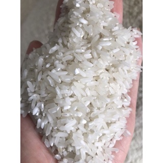 [CHUẨN TÂY BẮC] Gạo Séng cù Điện Biên