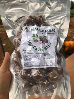 Macca Daklac- Hạt Điều- Cacao