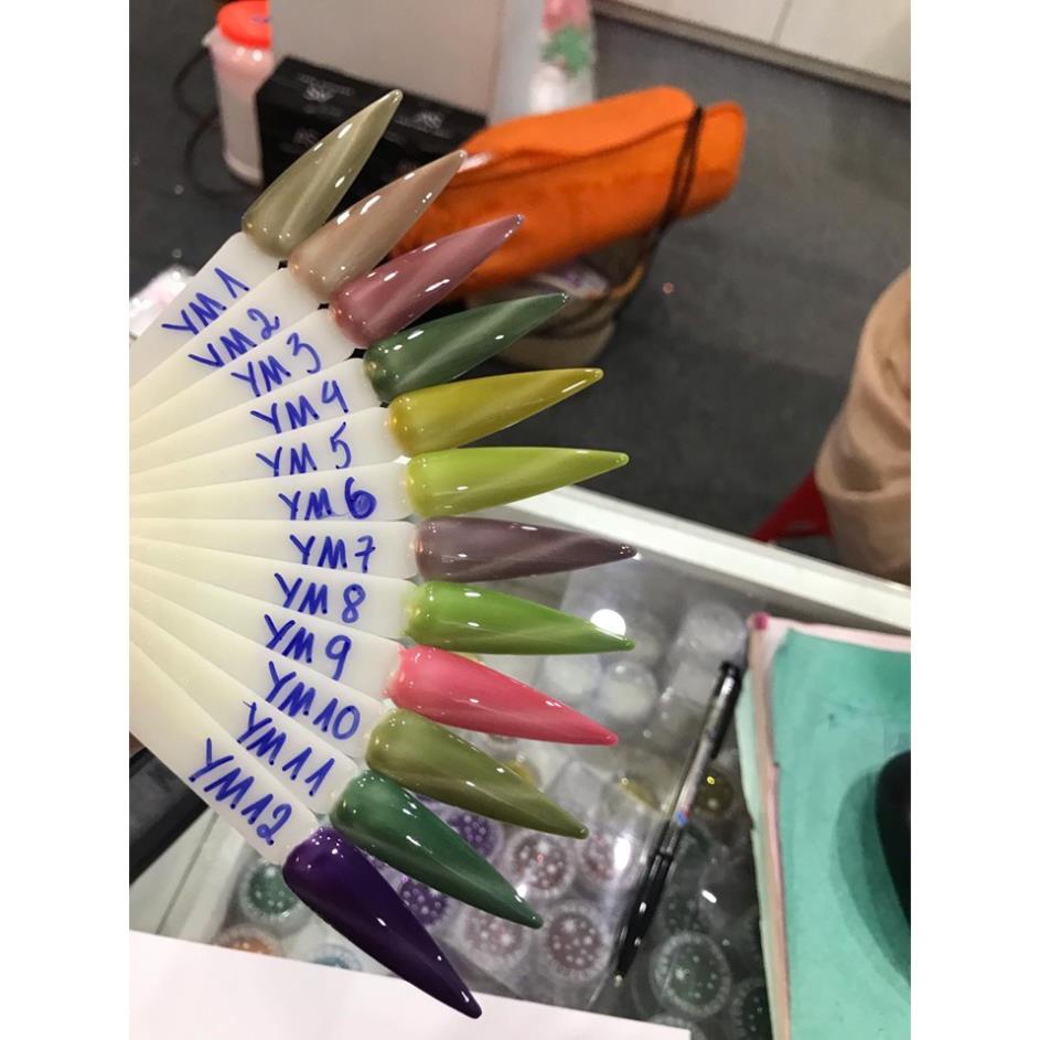 Sơn Gel AS vỏ đen Mã YM ( Cam Kết Chính Hãng - làm khô sơn gel bằng máy hơ uvled )
