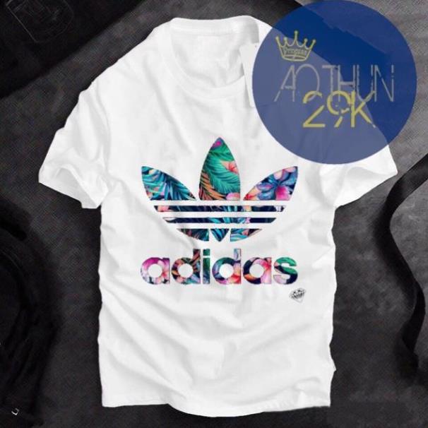 ALBUM 346 - ÁO THUN UNISEX DAS PHIÊN BẢN 2019