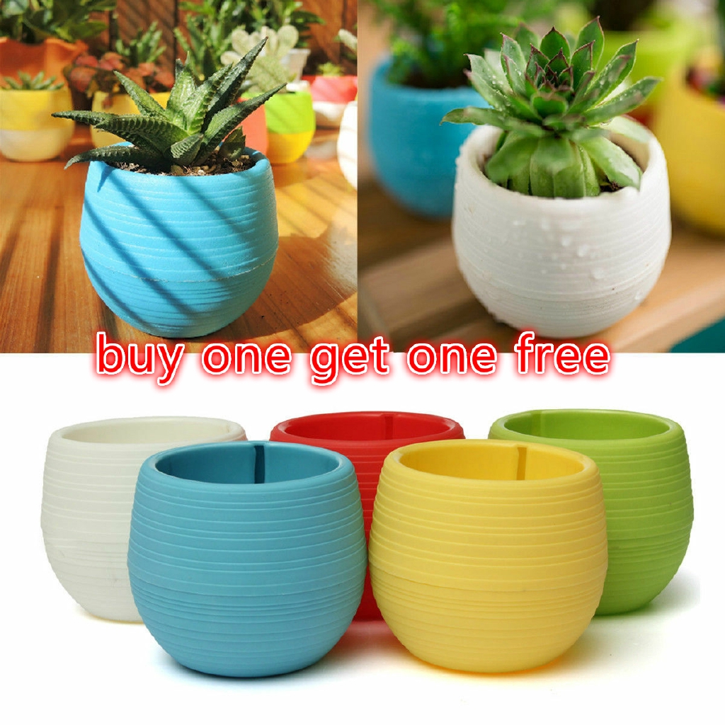 Chậu hoa nhựa mini dễ thương