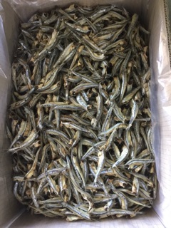 CÁ CƠM HẤP KHÔ