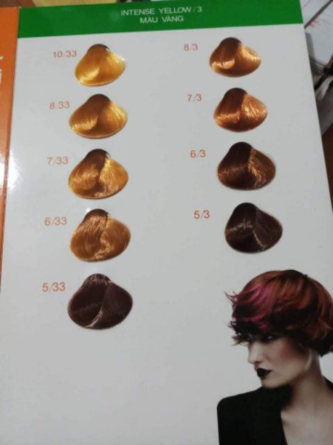 Thuốc nhuộm tóc EverFlor kèm oxi trợ nhuộm và găng tay | BigBuy360 - bigbuy360.vn