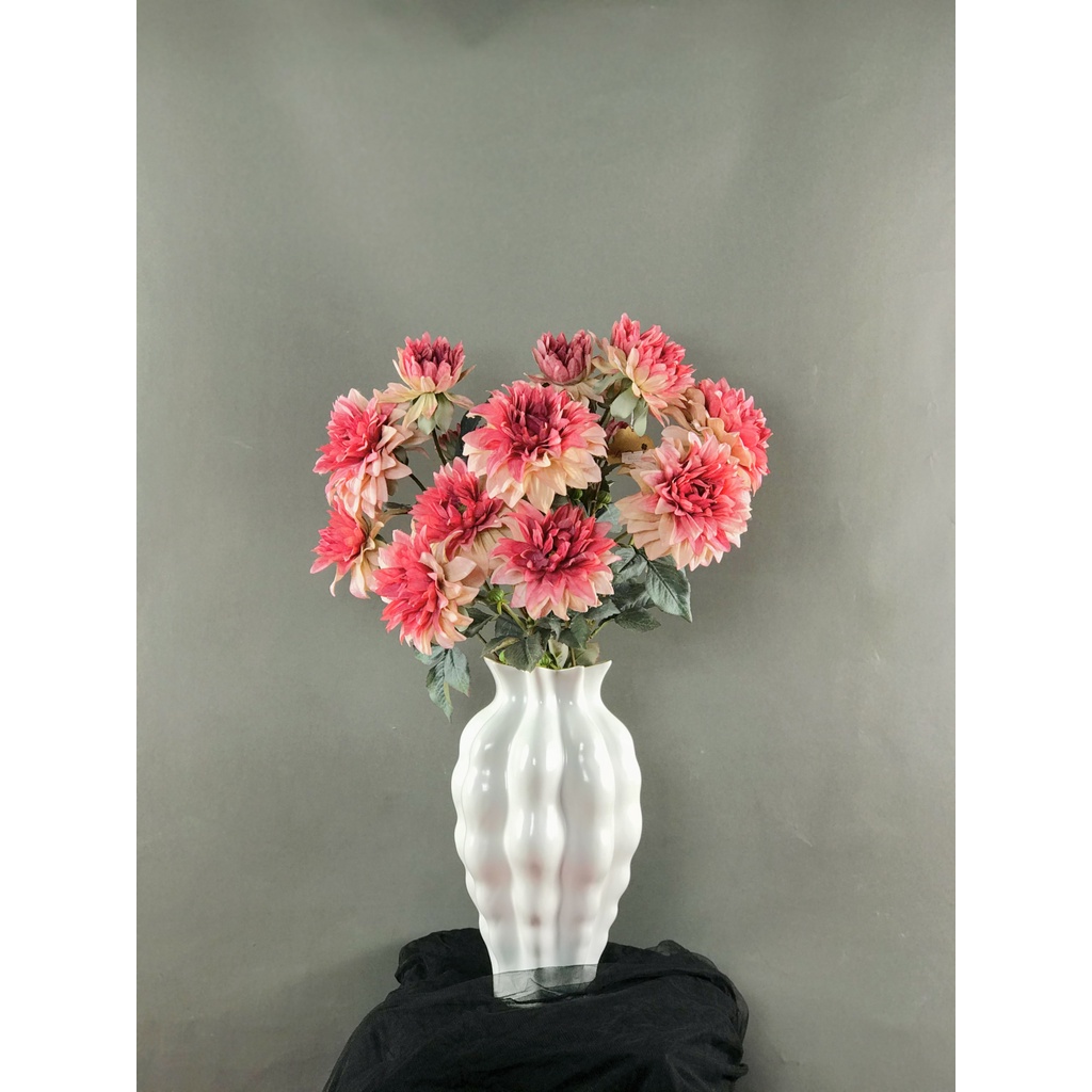 - HC0005 - HC0006 -