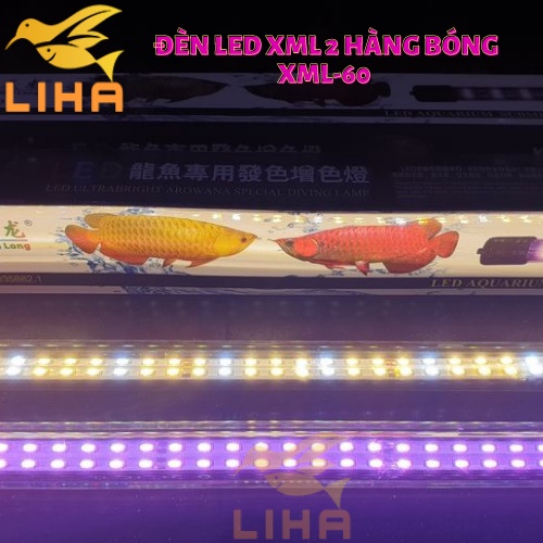 Đèn Led XML Chuyên Dụng Cho Cá Rồng - Led Xuanmeilong Phiên Bản Thủy Tinh Limited