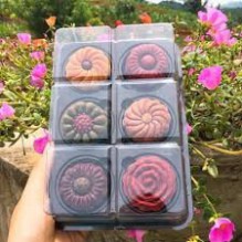 Bộ 50 hộp nhựa đựng bánh 6 ô tròn FG334 ;FG332