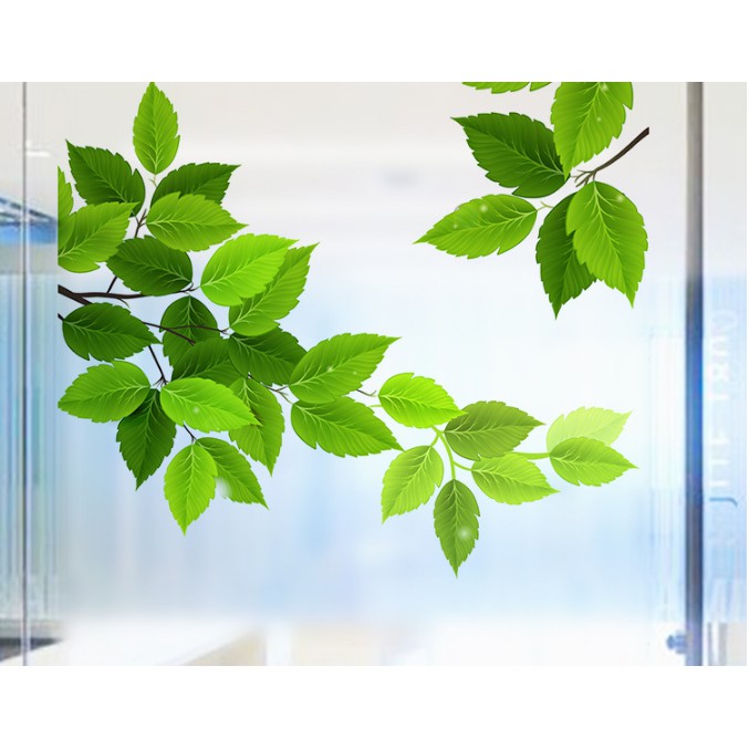 Decal dán kính cao cấp - Lá Cỏ 3D