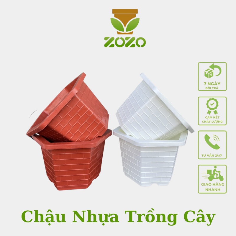 COMBO 10 Chậu nhựa trồng cây lục giác ZOZO FA 350, Fa380, Fa450, FA480 màu đỏ đen trắng