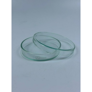 Đĩa petri thủy tinh phi 80/15