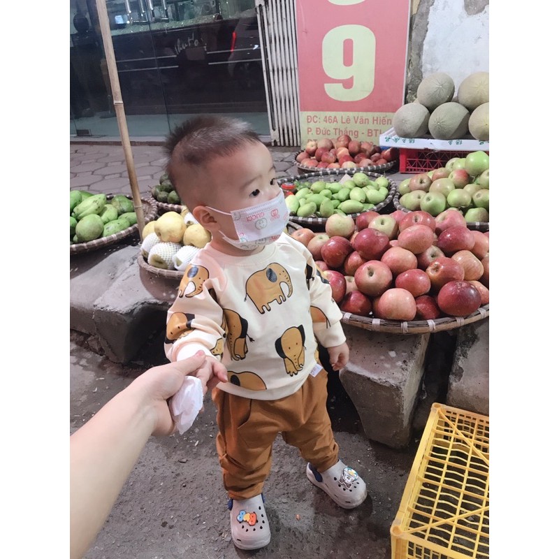 Bộ voi thu đông cho bé trai