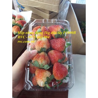 hộp nhựa đựng trái cây