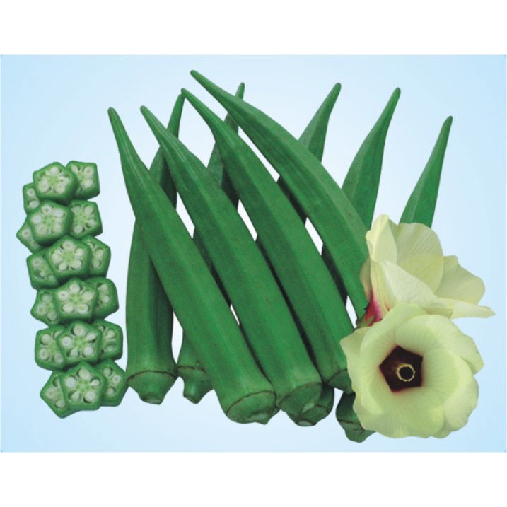 Hạt giống đậu bắp Ấn Độ năng suất cao 20g/gói giá rẻ