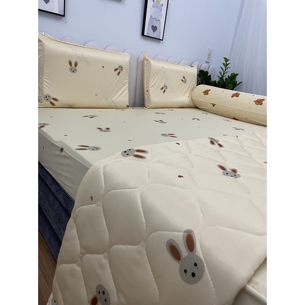 GA CHỐNG THẤM THUN LỤA PHONG CÁCH HÀN QUỐC MỊN MÁT
