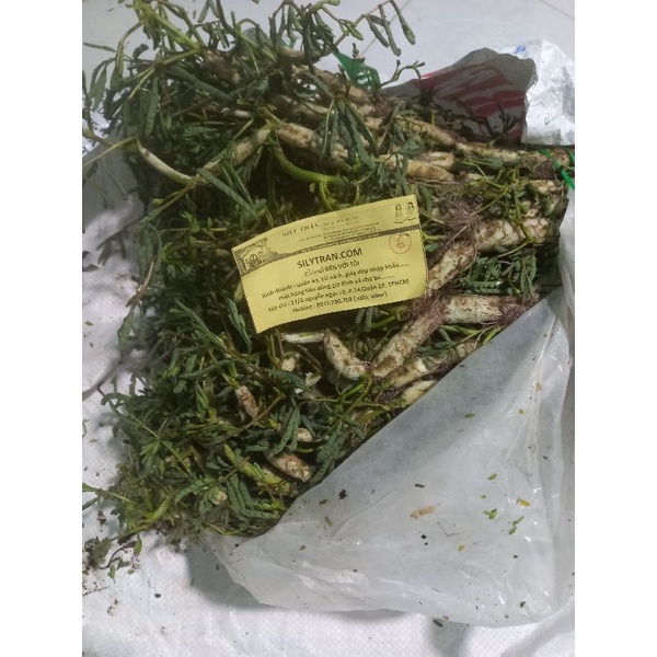 Rau nhút 1kg bao ngon, non
