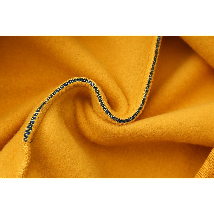 Áo hoodie nỉ bông khủng long bạo chúa - MS45