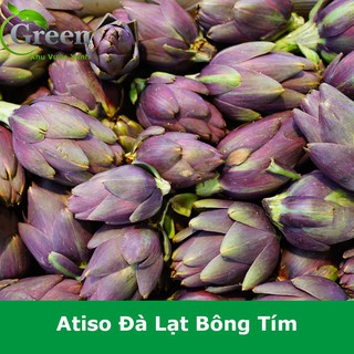 Hạt Giống Atiso Đà Lạt Bông Tím